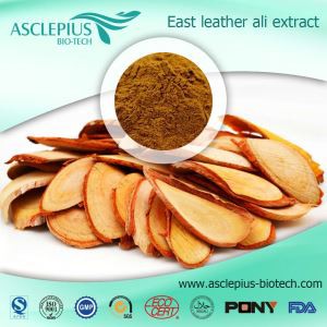 Tongkat Ali Root Extract Powder Supplier Supplier Engros